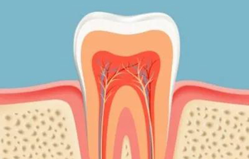 根管治疗后，牙齿寿命有多久？